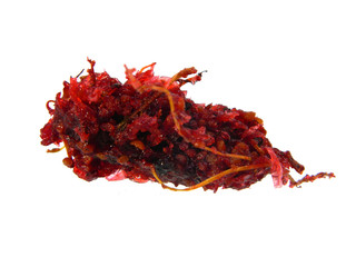 Obraz premium raspberry isolated on white background