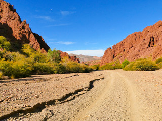 Rock formations in the Canon Del Inca, Tupiza Chichas Range, Andes, Southwestern Bolivia, South America