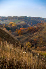 Fototapeta na wymiar Rural autumn landscape with hills on which trees grow