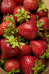 Fresh strawberries closeup. Open space, healthy food concept, plants, soil, organic natural products, natural food, vegetarian dishes, vegetables, raw, food festival
