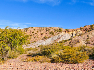 Rock formations in the Canon Del Inca, Tupiza Chichas Range, Andes, Southwestern Bolivia, South America