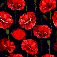 seamless pattern with poppy flowers