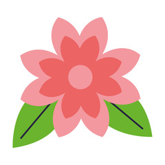 flower petals and leaves white background