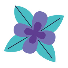 flower petals and leaves white background