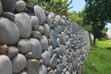 wall and vegetation