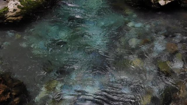 水の流れ　円原川　伏流水　ドローン　岐阜県　日本