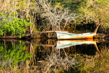 boat on the lake