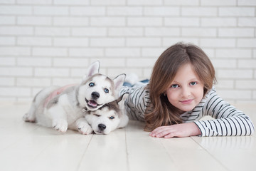 Cute little girl hugging husky puppy on a white background.