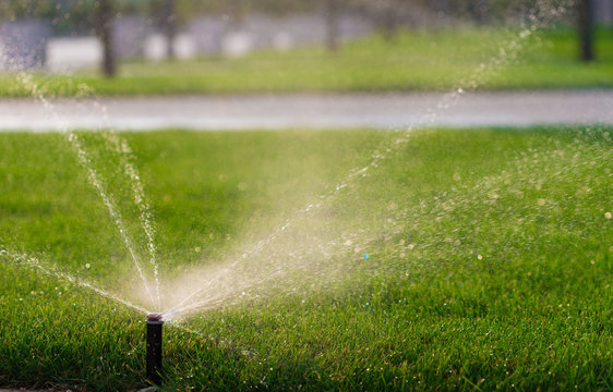 Watering  sprinkler  lawn