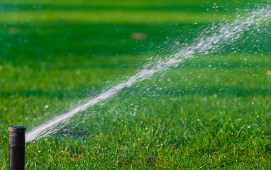 Watering  sprinkler  lawn