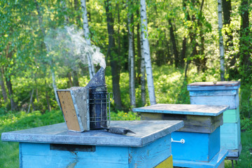 Smoker of a beekeeper on a hive