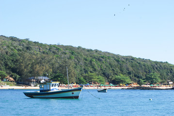 Naklejka premium Beautiful beaches and beautiful oceanic coasts with a rich flora and fauna in Buzios Brazil