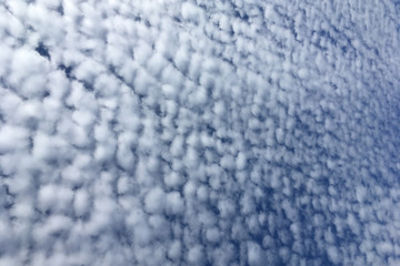 Obraz premium Cirrus clouds in the blue sky