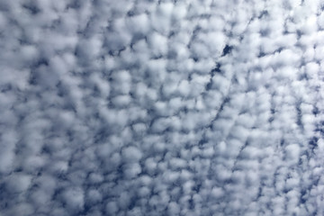 Obraz premium Cirrus clouds in the blue sky, texture