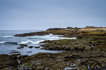 Tidepool area of Point Lobos State Natural Reserve on the California coast.