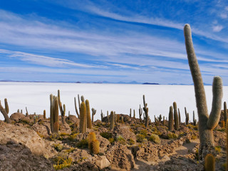 View from Isla Incahuasi on Salar de Uyuni, Altiplano, Salar de Uyuni, Bolivia