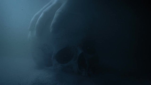 Man Picks Up Skull From River Bed