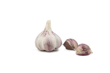 Fresh garlic head on white background