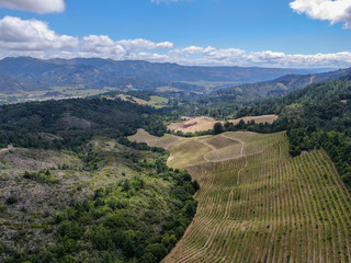 Aerial view of Napa Valley with vineyard and little lake. Napa County, in California's Wine Country. Vineyards landscape.