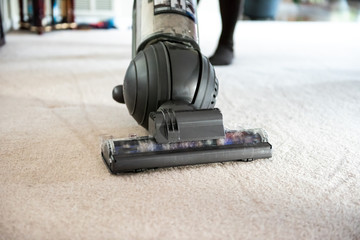 Obraz premium Closeup of woman, female doing cleaning at home with vacuum cleaner showing head, brush on carpet floor with dirt
