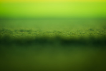 Green Abstract Background