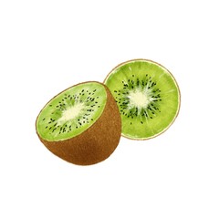 Fototapeta na wymiar Kiwi fruit on white background. Hand drawn watercolor illustration