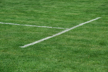 Lawn. Limit lines of a sports grass field with selective focus