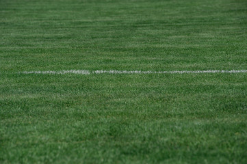 Obraz premium Lawn. Limit lines of a sports grass field with selective focus