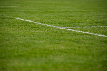 Lawn. Limit lines of a sports grass field with selective focus