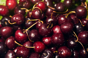 Big collection of red cherries. Background of ripe cherries.