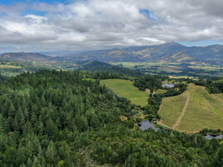 Aerial view of Napa Valley with vineyard and little lake. Napa County, in California's Wine Country. Vineyards landscape.