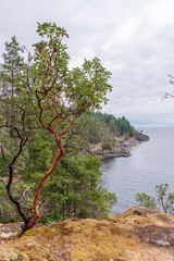 View over Inlet, ocean and island with mountains in beautiful British Columbia. Canada.