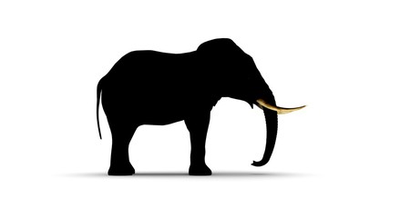 Fototapeta premium Elephant on White Background 3D Rendering
