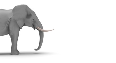Elephant on White Background 3D Rendering