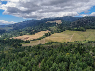 Aerial view of Napa Valley with vineyard and little lake. Napa County, in California's Wine Country. Vineyards landscape.