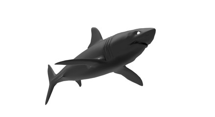 Black Shark on White Background 3D Rendering