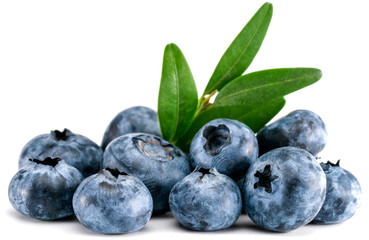 blueberry, clipping path, isolated on white background, full depth of field, high quality