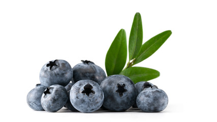 blueberries on white background