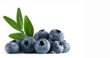 blueberries on white background
