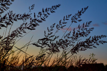 wonderful world around us