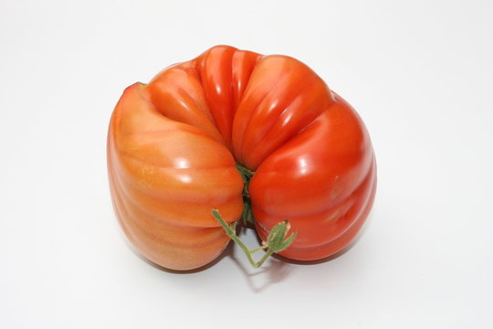 Ochsenherz-Tomate Images – Browse 78 Stock Photos, Vectors, and Video ...