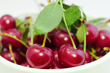 Bright colorful cherry berries on a white background