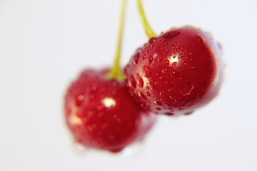 Bright colorful cherry berries on a white background