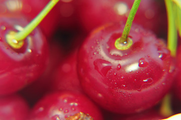 Bright colorful cherry berries on a white background