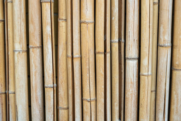 Fototapeta premium Background of old bamboo stems. Horizontal photo format