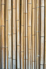 Background of cracked dry bamboo stems. Vertical photo format