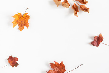 Autumn creative composition. Dried leaves on white background. Fall concept. Autumn background....