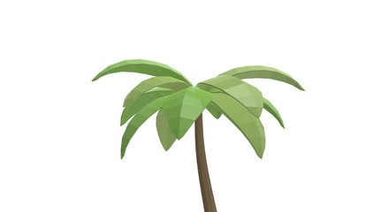 Palm Tree 3D Rendering Model