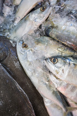 Fresh variety fish seafood sell in market