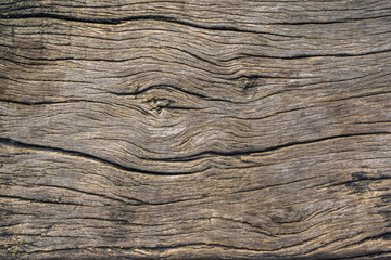 Abstract old brown wood texture